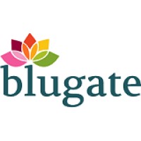 Blugate Software Technologies Pvt. Ltd. logo - Similar company to Visionfirst Technologies Private Limited