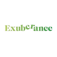 Exuberance logo - Similar company to Dokyo Gmbh