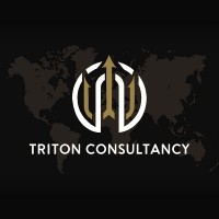 Triton Consultancy logo - Similar company to Hull Technologies