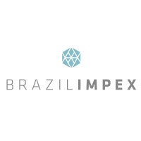 Brazil Impex logo - Similar company to Progresso Contabilidade