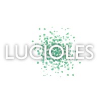 Association Lucioles Figeac logo - Similar company to Figeac Transition