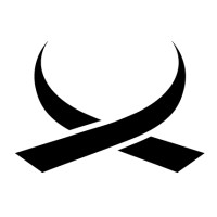 Black Belt Consulting logo - Similar company to Twoday Biit