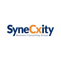 Synecxity Business Consulting Group Inc.