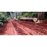 PALLISCO-CIFM logo - Similar company to Seef S.A.