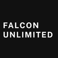 Falcon Unlimited logo - Similar company to Kinetic Brands