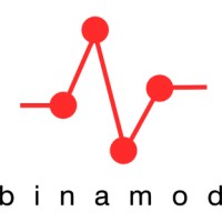binamod logo - Similar company to Dedica Teknoloji A.Ş.