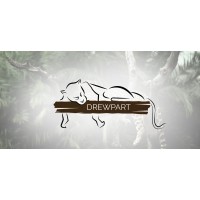 drewpart.pl logo - Similar company to Evo Plazma