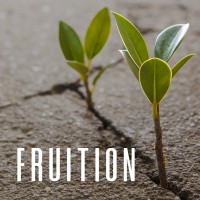 Fruition Co. logo - Similar company to Fruition