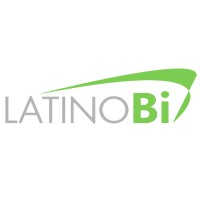 Latino BI logo - Similar company to Bsolutions
