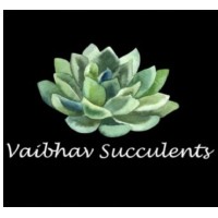 Vaibhav Succulents logo - Similar company to Executive Collections