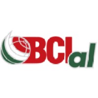 Battery Concepts International Mexico logo - Similar company to Grupo Dimosa Montacargas