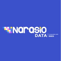 Narasio Data logo - Similar company to Rmds Lab