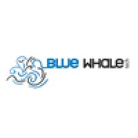 Blue Whale Technology logo - Similar company to Blue Wave It Solutions India Pvt. Ltd.