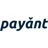 Payant.ng logo - Similar company to Sudo Africa