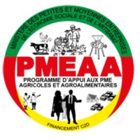Programme PMEAA logo - Similar company to Acefa