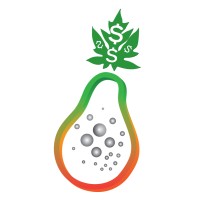 PapayAds Ltd. logo - Similar company to Andreadd