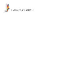 Crossover Catalyst logo - Similar company to Analogy Public Relations