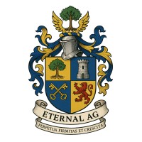 Eternal AG logo - Similar company to Datafox Consulting Gmbh