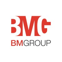 BM Group of Companies logo - Similar company to Woodlock Developments Ltd.