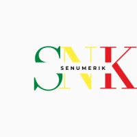 Senumerik logo - Similar company to Mastech Industries