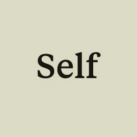 Self Agency logo - Similar company to Bright Light Digital Ltd
