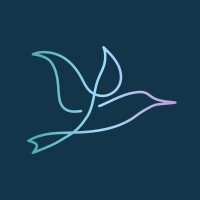 Wildanet logo - Similar company to Dynamic Infrastructure