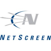 Netscreen Technologies (NASDAQ: NSCN) logo - Similar company to Onesecure Cybersecurity