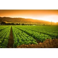 Green Valley Agriculture logo - Similar company to Tri-Tech Ag Products, Inc