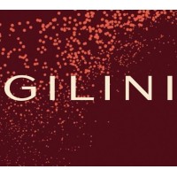 Gilini Group logo - Similar company to Litta™