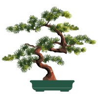 Aptiva Care Management Official logo - Similar company to Zenix Technology