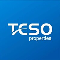 Teso Properties Group logo - Similar company to Ncd Group - Nomin Construction & Development Group