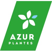 Azur Plantes logo - Similar company to Schoneveld Breeding