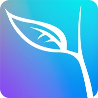 New Life Church logo - Similar company to Gangstar Cafe
