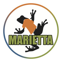 Big Frog Custom T-Shirts of Marietta logo - Similar company to Effortless, Ethical, Expertly Branded Clothing And Workwear.