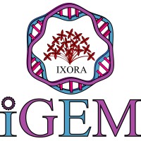 iGEM IXORA logo - Similar company to Intic Colombia