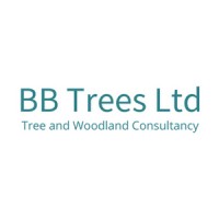 BB Trees Ltd Tree and Woodland Consultancy logo - Similar company to Canopy Tree Services
