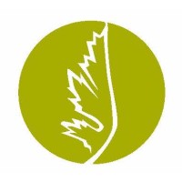 dezinsINTERACTIVE logo - Similar company to E8 Creative
