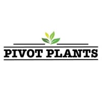 Pivot Plants logo - Similar company to Sprout Designs