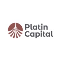 Platin Capital logo - Similar company to Meda Group