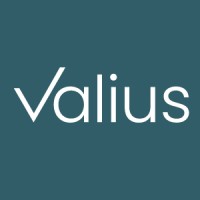 Valius Group logo - Similar company to Cork Griffiths