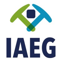 Irish Association for Economic Geology logo - Similar company to Icrag Research Ireland Centre For Applied Geosciences