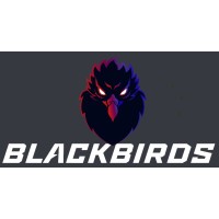 BLACKBIRDS GmbH logo - Similar company to Blackbirds Exploration