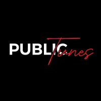 PublicTunes logo - Similar company to Design Dominators