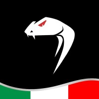 Viper Tactical Italy logo - Similar company to Combat Zone Tactical