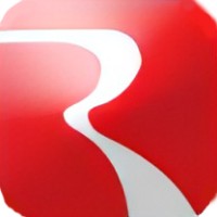 Radiant InfoSolutions logo - Similar company to Blackbox Analytics
