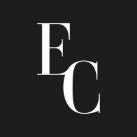 Envision in Color logo - Similar company to Digitly.Ai