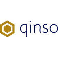 qinso logo - Similar company to Quasar Innovative Solutions - India