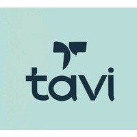 tavi.cool logo - Similar company to Onesolution Consulting