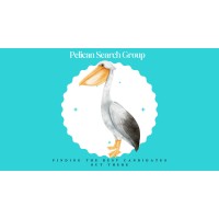 Pelican Search Group logo - Similar company to Nxthg