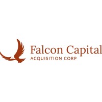 Falcon Equity Investors logo - Similar company to Climate Dice